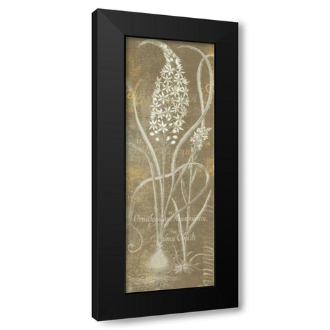 Flower Lines III Black Modern Wood Framed Art Print by Schlabach, Sue