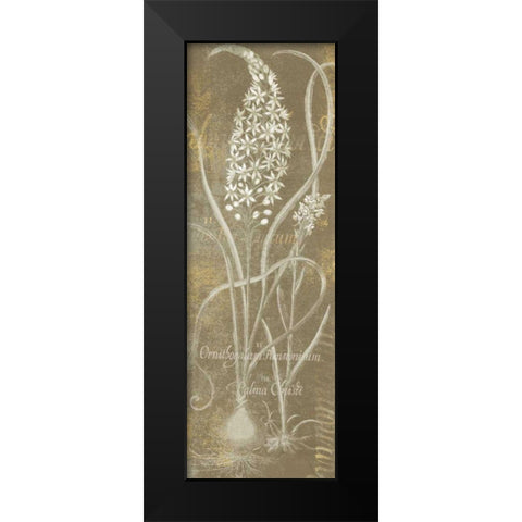 Flower Lines III Black Modern Wood Framed Art Print by Schlabach, Sue