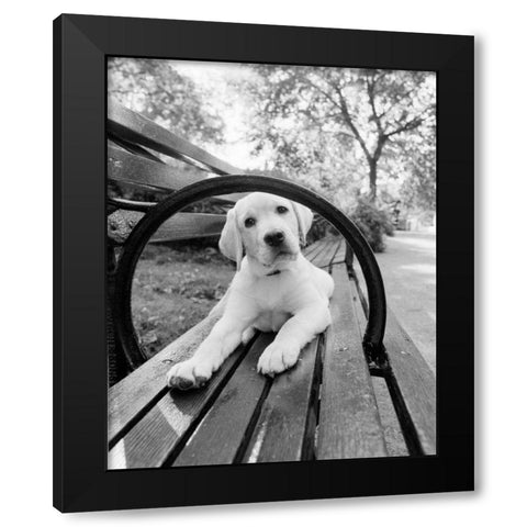 Never Doubt That You Can Black Modern Wood Framed Art Print with Double Matting by Dratfield, Jim
