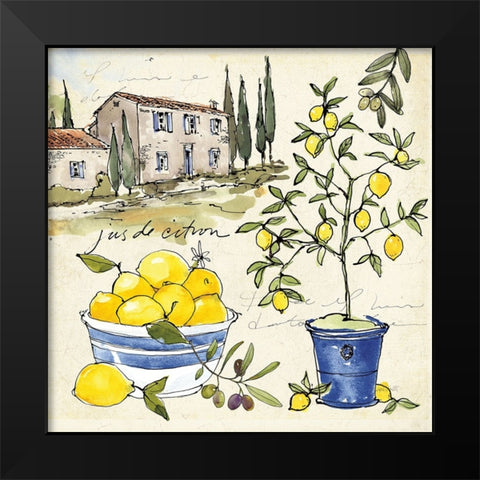 Citron III Black Modern Wood Framed Art Print by Tavoletti, Anne