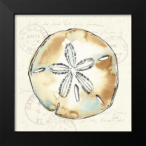 Coastal Breeze VI Black Modern Wood Framed Art Print by Tavoletti, Anne