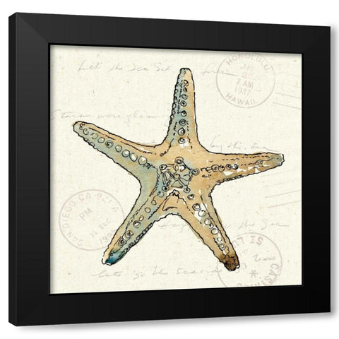 Coastal Breeze VIII Black Modern Wood Framed Art Print by Tavoletti, Anne