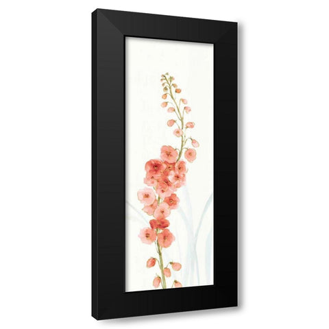 Rainbow Seeds Flowers VII Coral Black Modern Wood Framed Art Print with Double Matting by Audit, Lisa