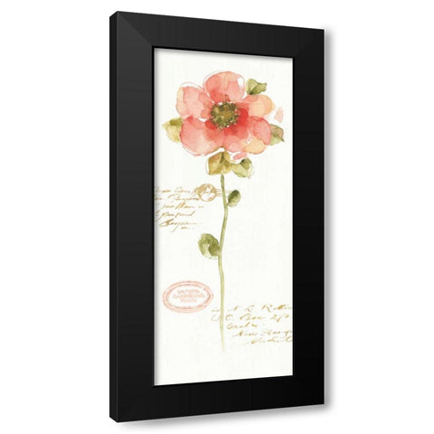 Rainbow Seeds Loose Floral IV Black Modern Wood Framed Art Print with Double Matting by Audit, Lisa
