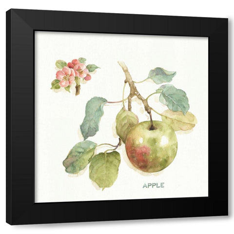 Orchard Bloom I Black Modern Wood Framed Art Print with Double Matting by Audit, Lisa