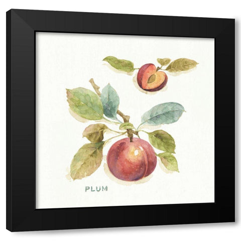 Orchard Bloom IV Black Modern Wood Framed Art Print by Audit, Lisa