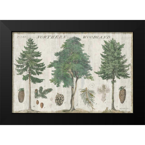 Woodland Chart I Black Modern Wood Framed Art Print by Schlabach, Sue