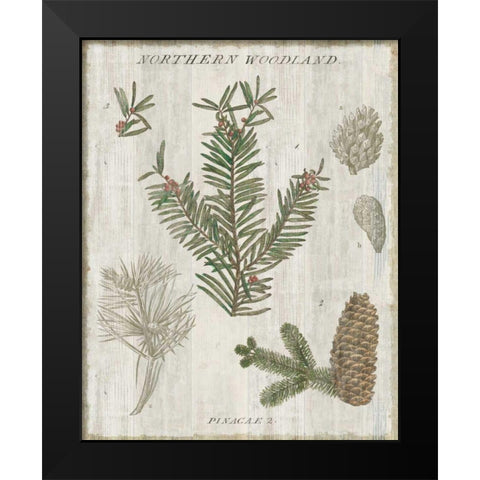 Woodland Chart II Black Modern Wood Framed Art Print by Schlabach, Sue