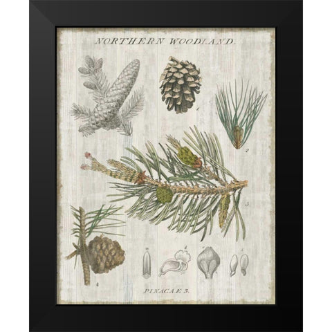Woodland Chart III Black Modern Wood Framed Art Print by Schlabach, Sue
