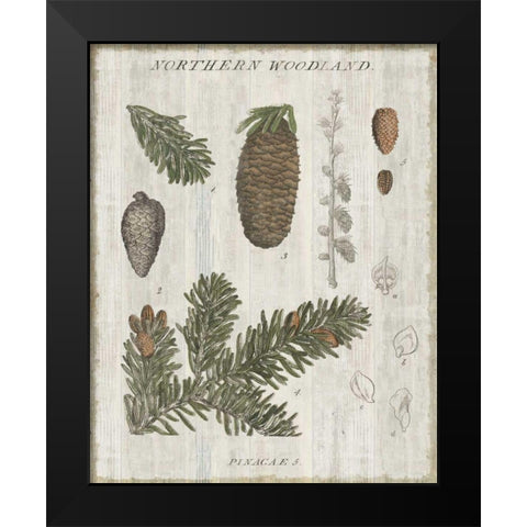 Woodland Chart IV Black Modern Wood Framed Art Print by Schlabach, Sue