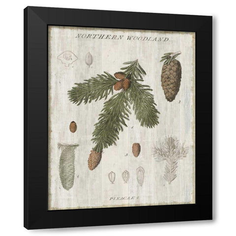 Woodland Chart V Black Modern Wood Framed Art Print with Double Matting by Schlabach, Sue
