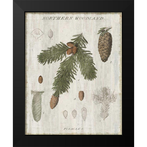 Woodland Chart V Black Modern Wood Framed Art Print by Schlabach, Sue