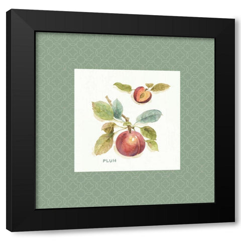 Orchard Bloom IV Border Black Modern Wood Framed Art Print by Audit, Lisa