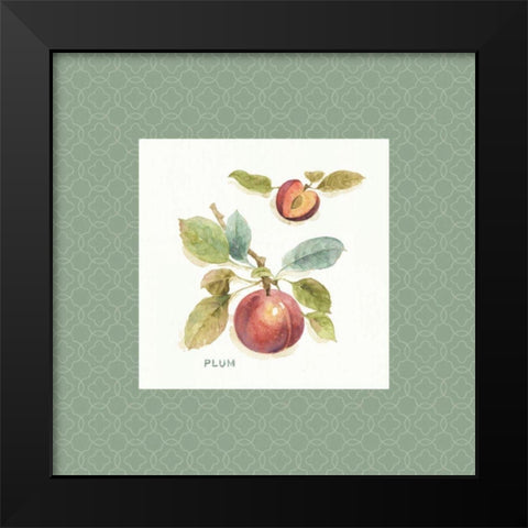 Orchard Bloom IV Border Black Modern Wood Framed Art Print by Audit, Lisa