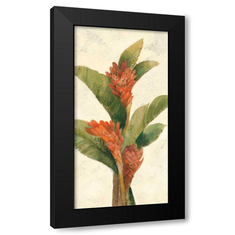 Ginger Blossom on White Black Modern Wood Framed Art Print with Double Matting by Hristova, Albena