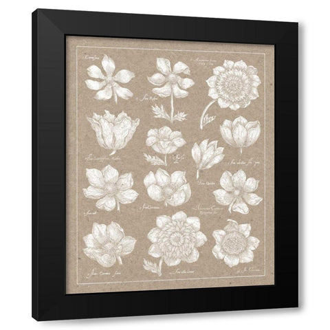 Anemone Plate I Black Modern Wood Framed Art Print with Double Matting by Wild Apple Portfolio