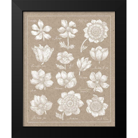 Anemone Plate I Black Modern Wood Framed Art Print by Wild Apple Portfolio