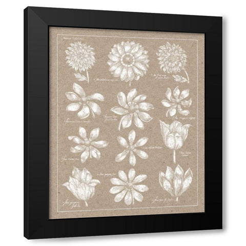 Anemone Plate II Black Modern Wood Framed Art Print by Wild Apple Portfolio