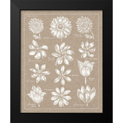 Anemone Plate II Black Modern Wood Framed Art Print by Wild Apple Portfolio