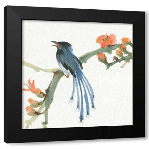 Formosan Blue Magpie Black Modern Wood Framed Art Print with Double Matting by Paschke, Chris