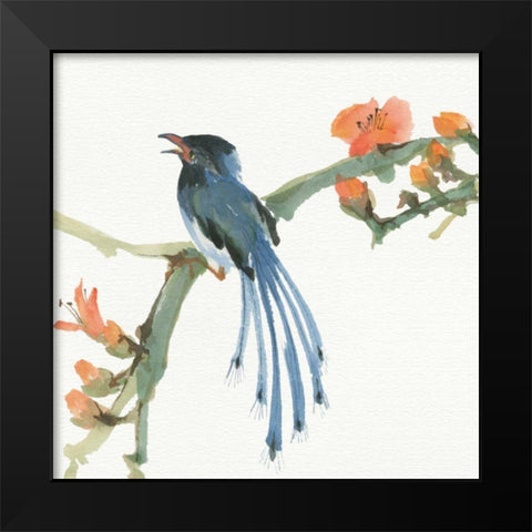 Formosan Blue Magpie Black Modern Wood Framed Art Print by Paschke, Chris