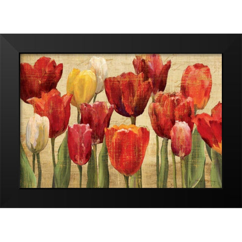 Tulip Fantasy on Cream Black Modern Wood Framed Art Print by Hageman, Marilyn