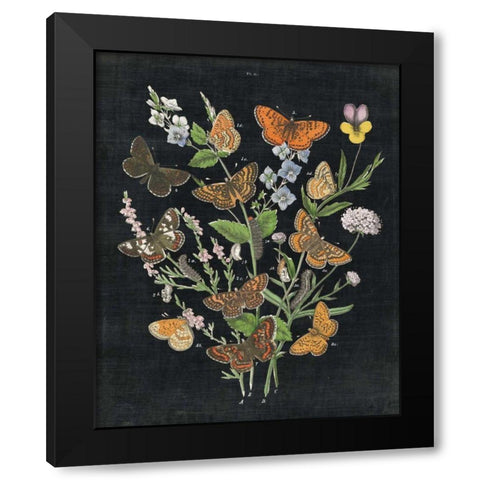 Butterfly Bouquet on Black I Black Modern Wood Framed Art Print with Double Matting by Wild Apple Portfolio