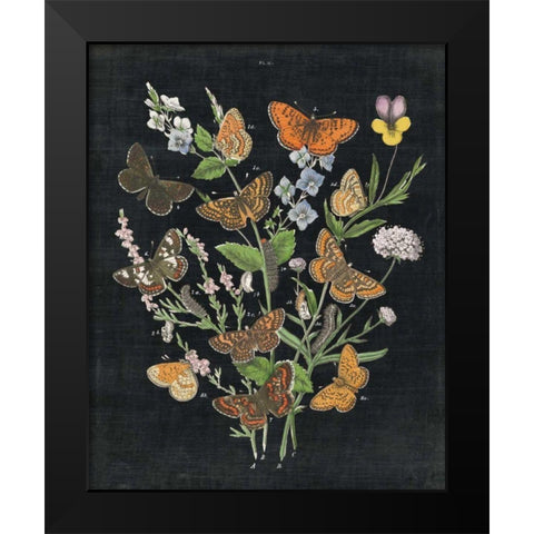 Butterfly Bouquet on Black I Black Modern Wood Framed Art Print by Wild Apple Portfolio