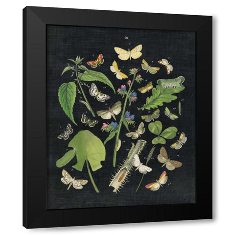 Butterfly Bouquet on Black III Black Modern Wood Framed Art Print by Wild Apple Portfolio