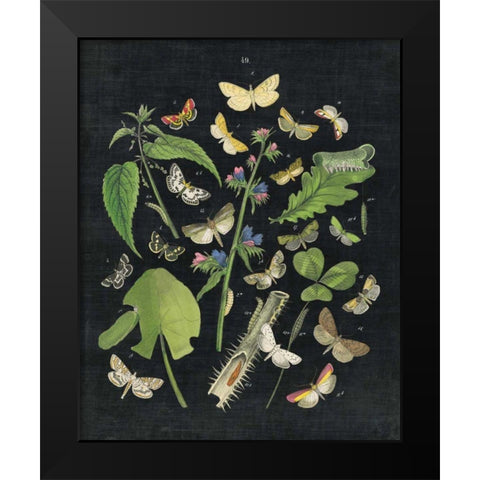 Butterfly Bouquet on Black III Black Modern Wood Framed Art Print by Wild Apple Portfolio