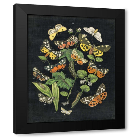 Butterfly Bouquet on Black IV Black Modern Wood Framed Art Print with Double Matting by Wild Apple Portfolio