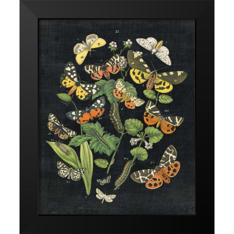 Butterfly Bouquet on Black IV Black Modern Wood Framed Art Print by Wild Apple Portfolio