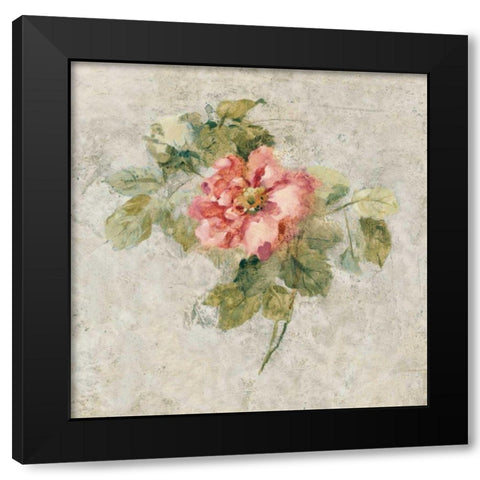 Provence Rose II Red and Neutral Black Modern Wood Framed Art Print with Double Matting by Blum, Cheri