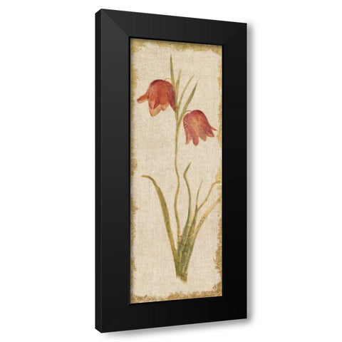 Red Tulip Panel on White Vintage Black Modern Wood Framed Art Print with Double Matting by Blum, Cheri