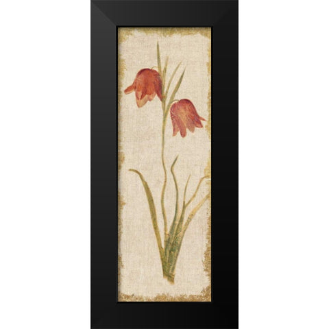 Red Tulip Panel on White Vintage Black Modern Wood Framed Art Print by Blum, Cheri