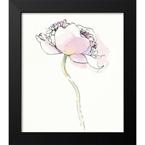 Single Pink Somniferums I on White Black Modern Wood Framed Art Print by Novak, Shirley