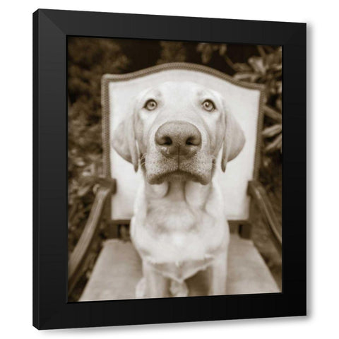 Sitting Black Modern Wood Framed Art Print with Double Matting by Dratfield, Jim