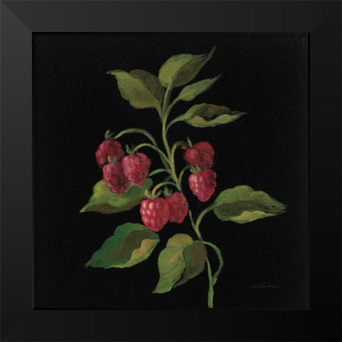 Framboise no Words Black Modern Wood Framed Art Print by Vassileva, Silvia