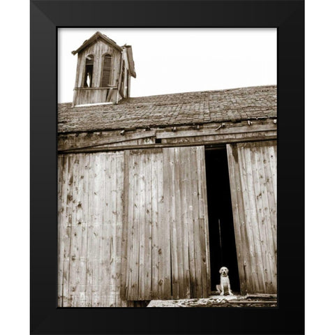Barnyard Dog Black Modern Wood Framed Art Print by Dratfield, Jim