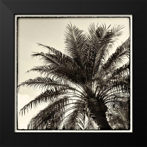 Palm Tree Sepia I Black Modern Wood Framed Art Print by Van Swearingen, Debra