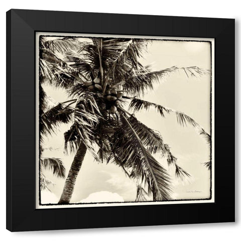 Palm Tree Sepia II Black Modern Wood Framed Art Print by Van Swearingen, Debra