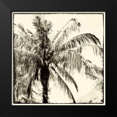 Palm Tree Sepia III Black Modern Wood Framed Art Print by Van Swearingen, Debra