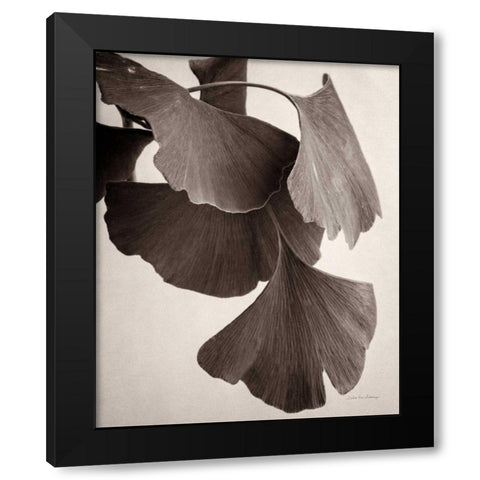 Gingko Sepia Black Modern Wood Framed Art Print by Van Swearingen, Debra