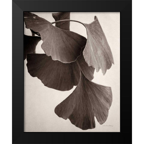 Gingko Sepia Black Modern Wood Framed Art Print by Van Swearingen, Debra