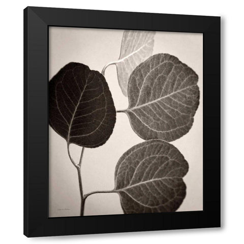 Eucalyptus Sepia Black Modern Wood Framed Art Print by Van Swearingen, Debra