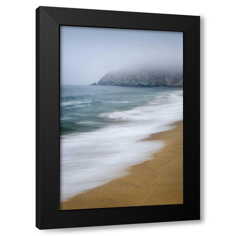 Gray Whale Cove Black Modern Wood Framed Art Print with Double Matting by Majchrowicz, Alan