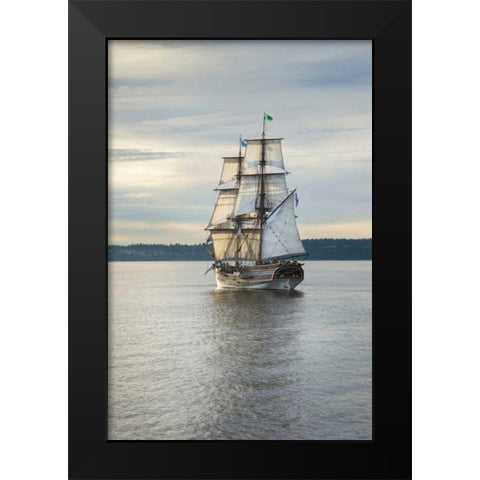 Lady Washington I Black Modern Wood Framed Art Print by Majchrowicz, Alan