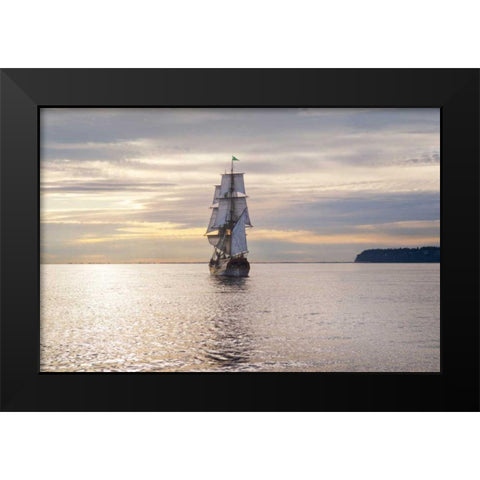 Lady Washington III Black Modern Wood Framed Art Print by Majchrowicz, Alan