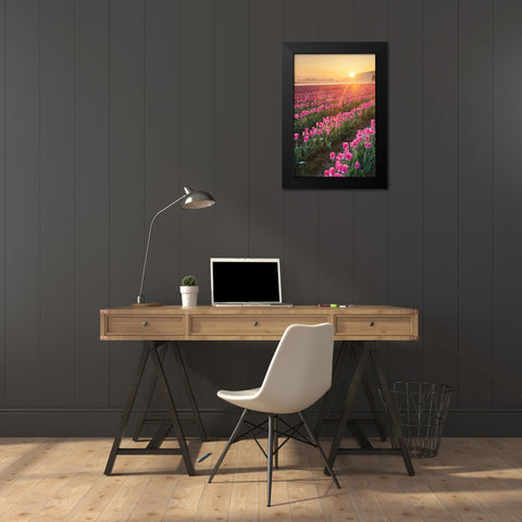 Skagit Valley Tulips II Black Modern Wood Framed Art Print by Audit, Lisa