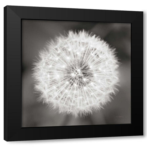 Dandelion Seedhead Black Modern Wood Framed Art Print with Double Matting by Audit, Lisa